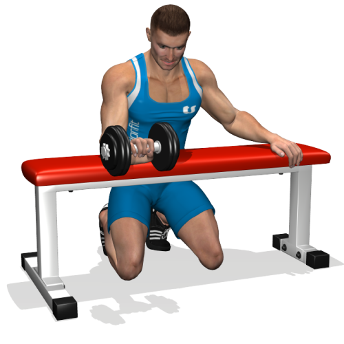 One Arm Reverse Dumbbell Wrist Curl Over Bench
