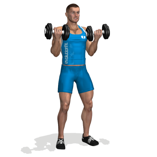 Standing Dumbbell Curl
