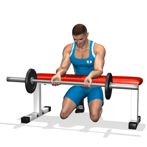 Barbell Wrist Curl Over Bench